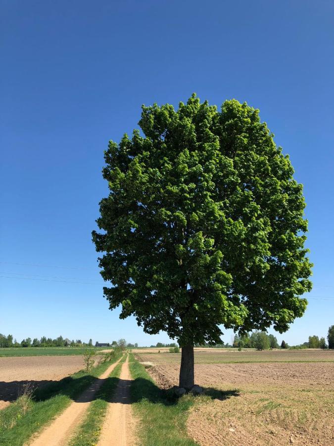 Zagroda U Leny - Dom Na Wylacznosc Czyze ภายนอก รูปภาพ