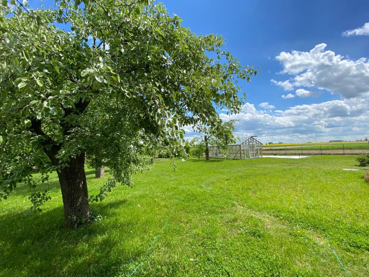 Zagroda U Leny - Dom Na Wylacznosc Czyze ภายนอก รูปภาพ